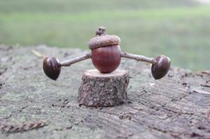 どんぐりやじろべえ