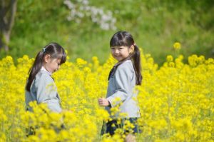 園児の女の子2人が菜の花畑で遊ぶ