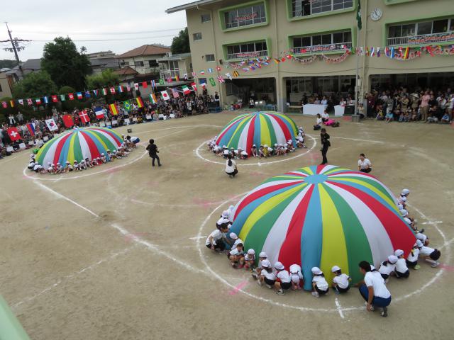 カトリックさゆり幼稚園の園 センパイ 新卒採用情報 ほいコレナビ22