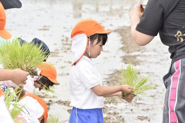 モーツァルトしずかこども園の園・センパイ・新卒採用情報|ほい