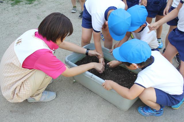 キリン第二こども園の園 センパイ 新卒採用情報 ほいコレナビ23