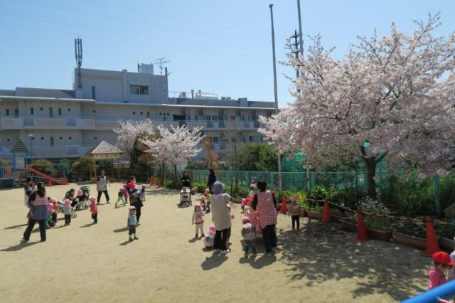 桜の園庭