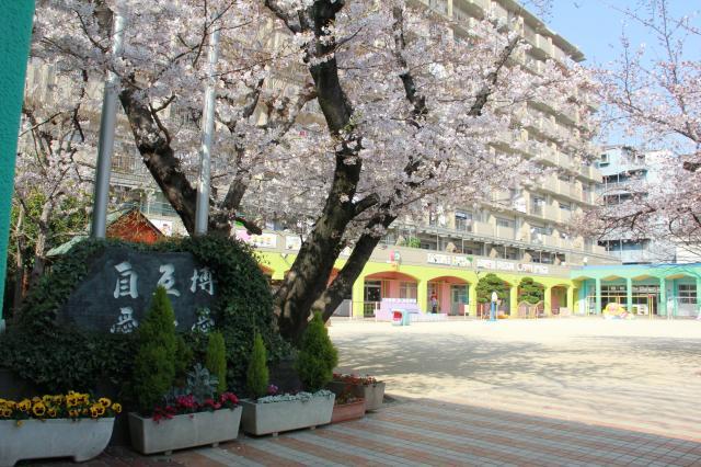 幼稚園型認定こども園 三愛幼稚園・認可保育所 三愛こども園