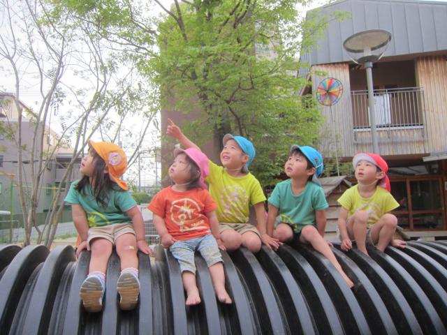 豊中あけぼのこども園
