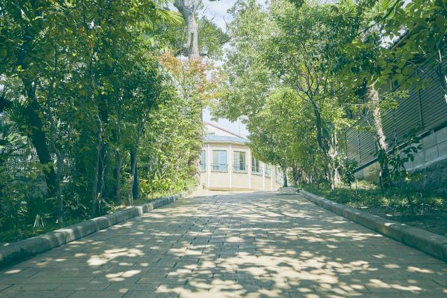 認定こども園　旭ヶ丘学園