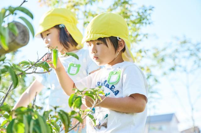 道明寺どろんこ保育園
