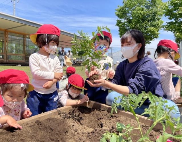 センパイイメージ