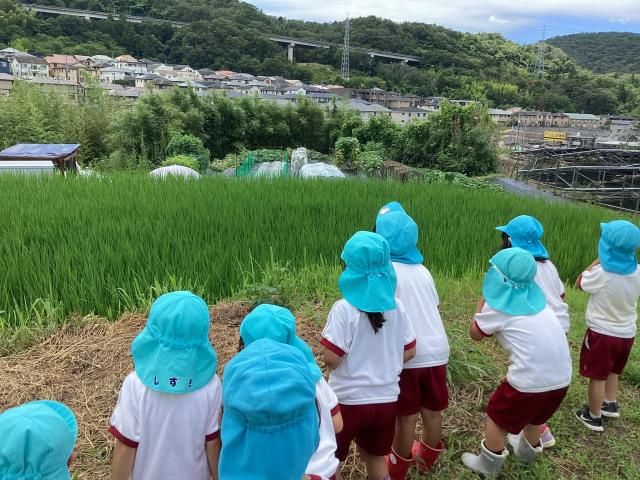 はるのみ保育園