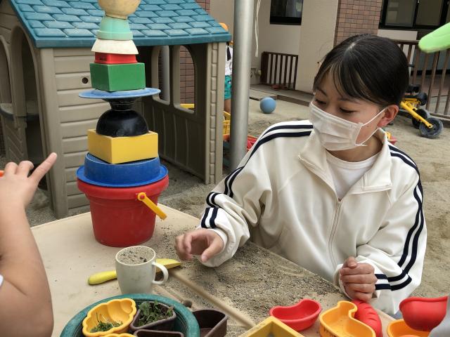 センパイイメージ