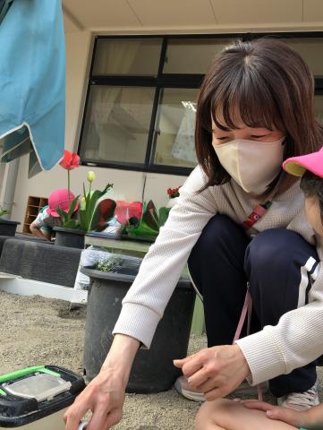 センパイイメージ