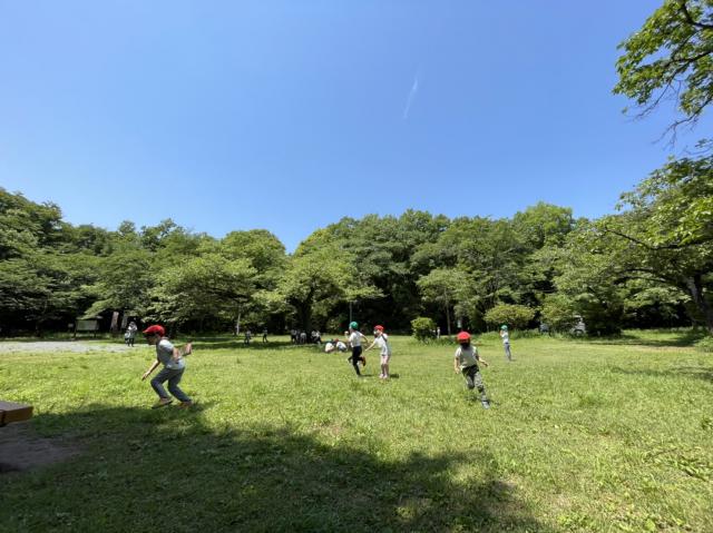 八王子すみれ幼稚園