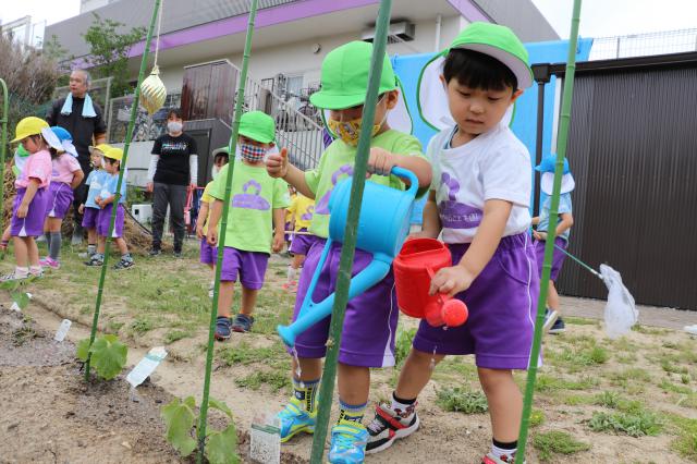 しあわせの丘こども園