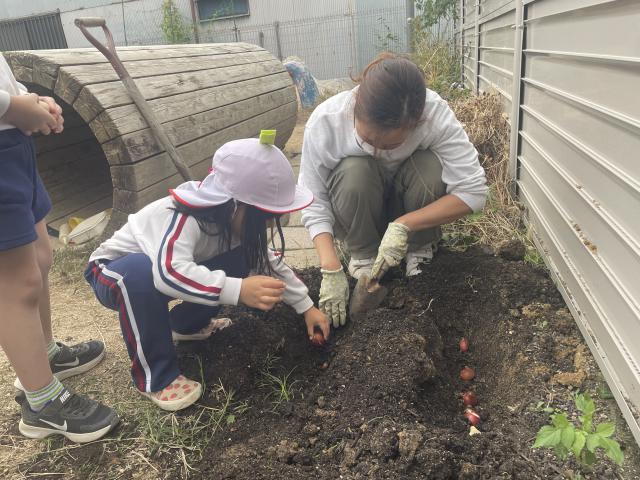 福﨑　しのぶ先生