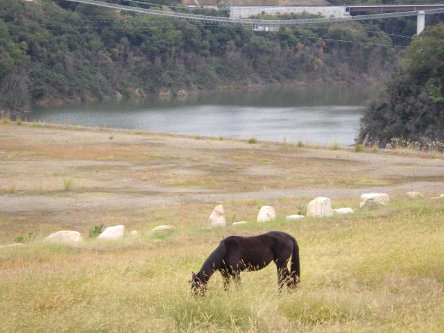 やまぜんこども園