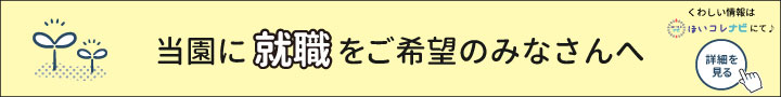 ほいコレナビ2025